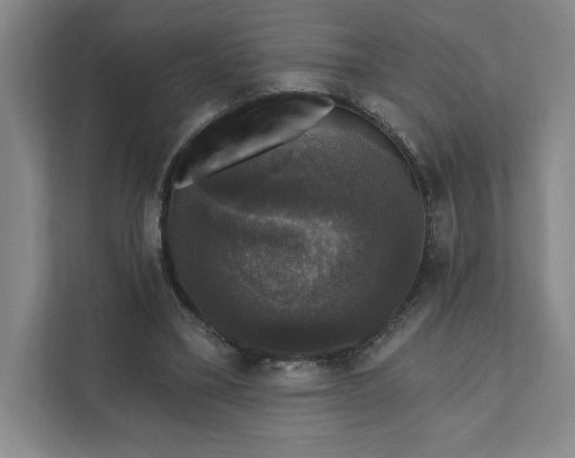 X0000111580395200907301409