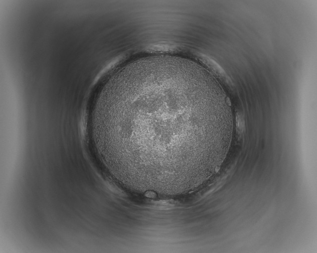 X0000111580396200907301409