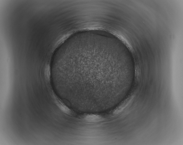 X0000111580397200907301409