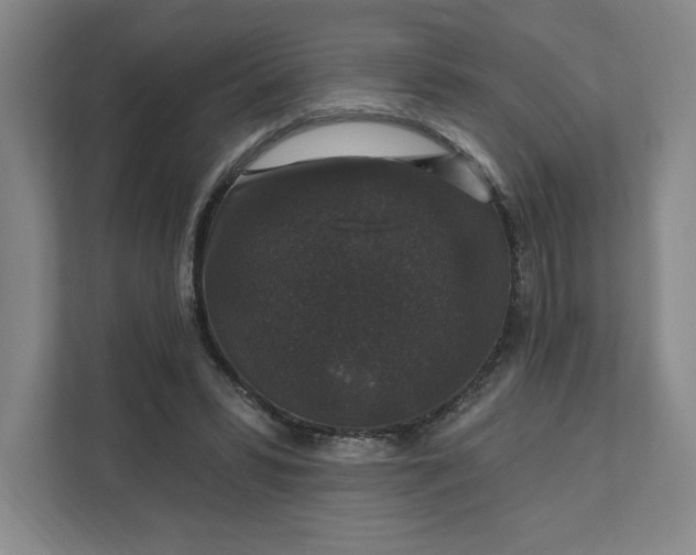 X0000111580399200907301409