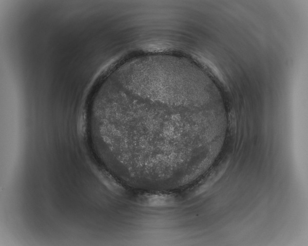 X0000111580400200907301409