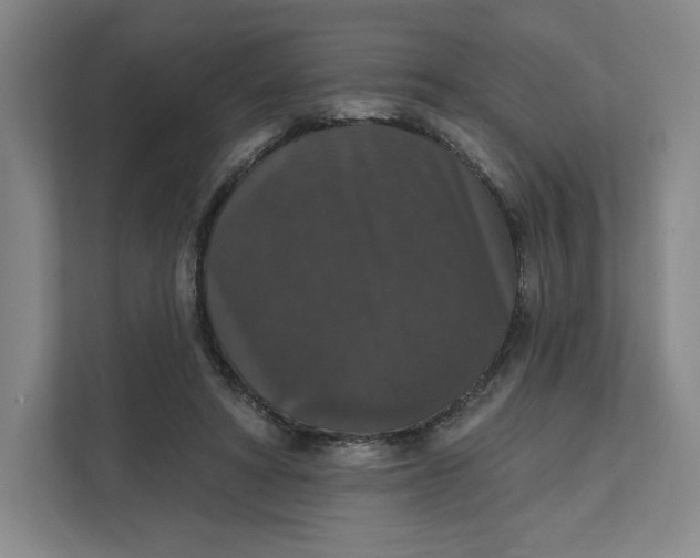 X0000111580402200907301409