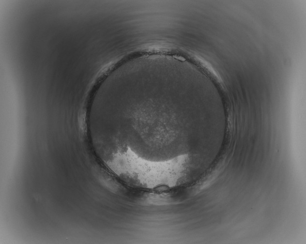 X0000111580403200907301409