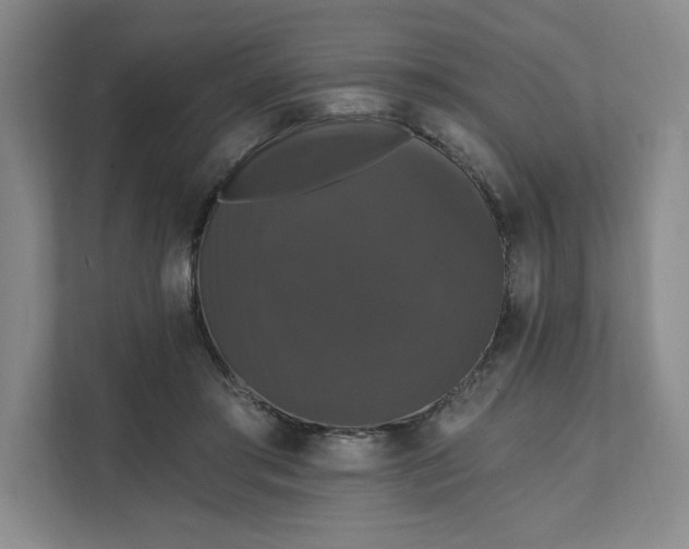 X0000111580405200907301409