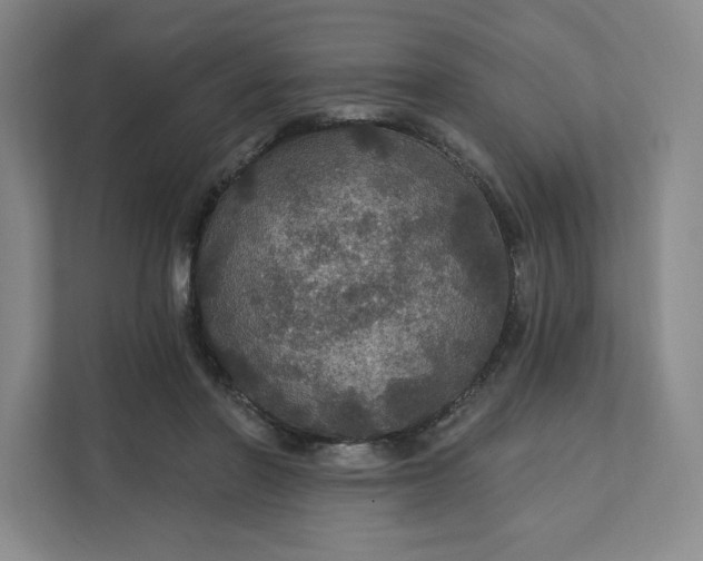 X0000111580406200907301409