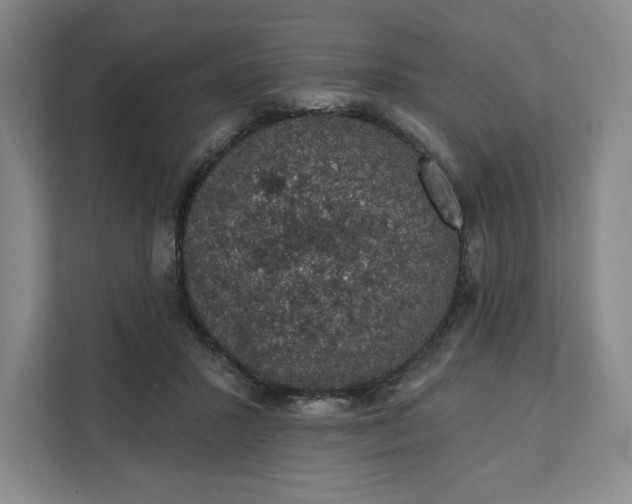 X0000111580407200907301409