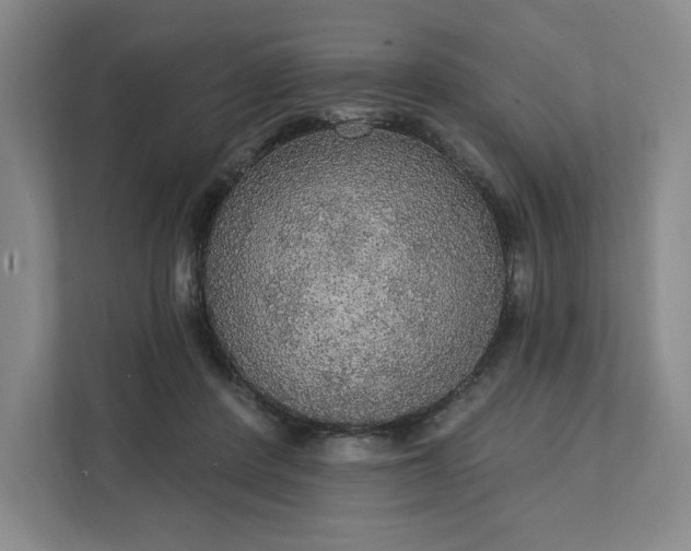 X0000111580408200907301409