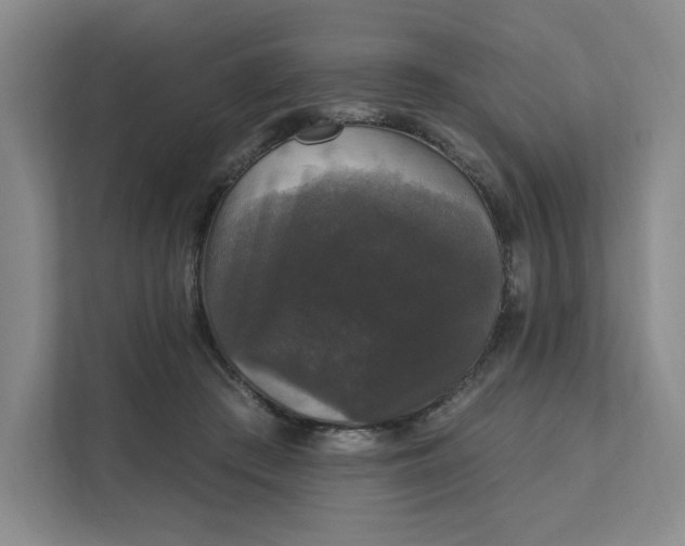 X0000111580409200907301409