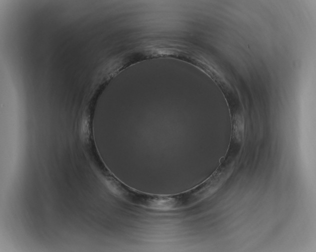 X0000111580410200907301409