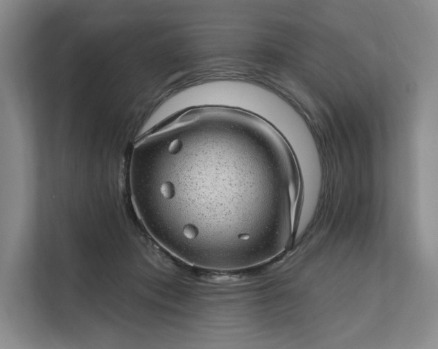 X0000111580413200907301409