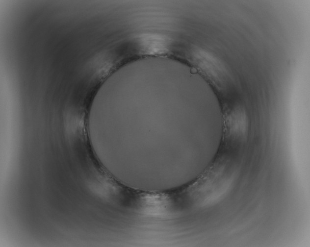 X0000111580415200907301409