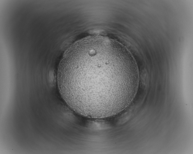 X0000111580420200907301409