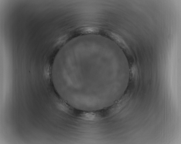 X0000111580423200907301409