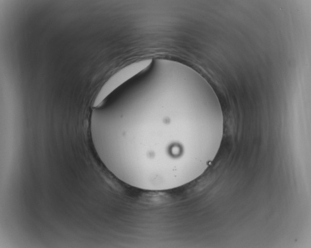 X0000111580427200907301409