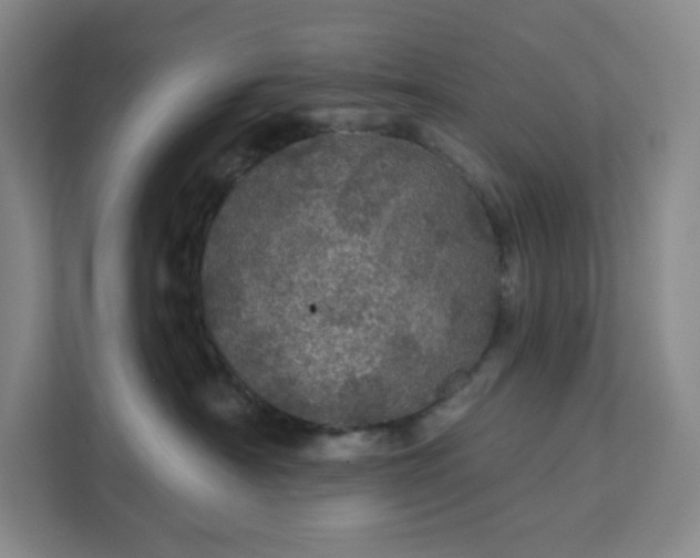 X0000111580430200907301409