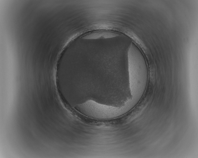 X0000111580434200907301408