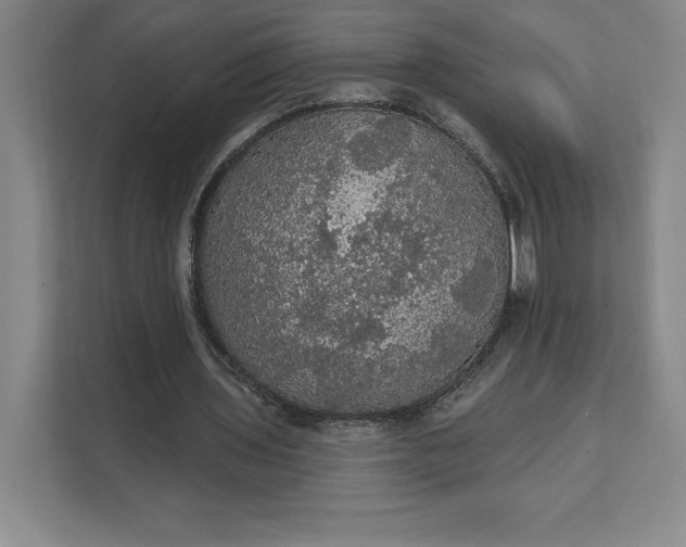 X0000111580435200907301408