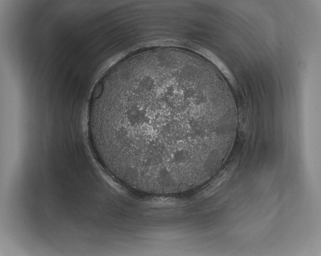 X0000111580437200907301408