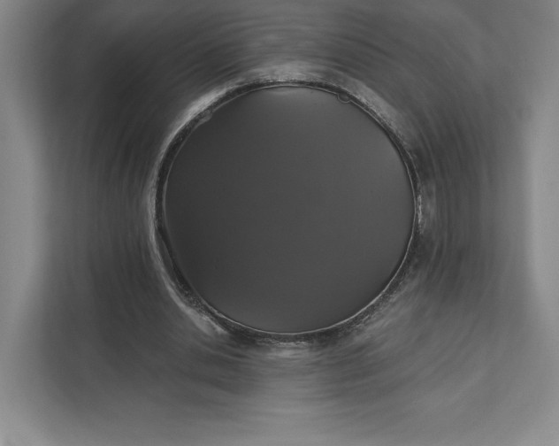 X0000111580438200907301408