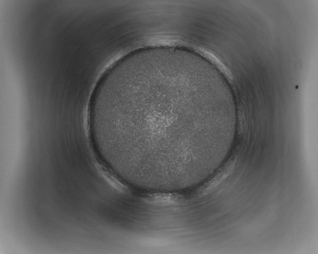 X0000111580439200907301408