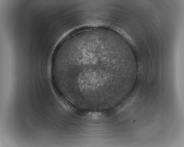 X0000111580440200907301408