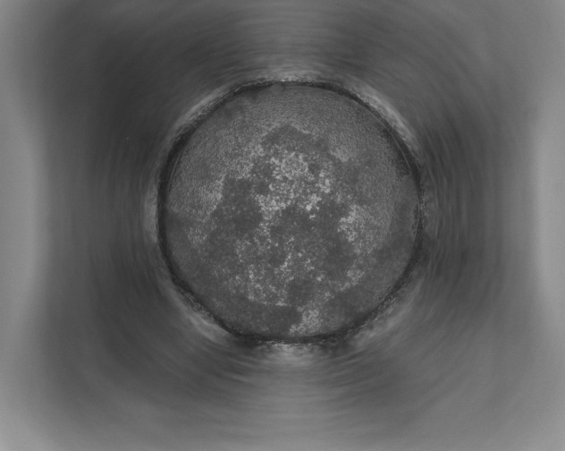 X0000111580442200907301409