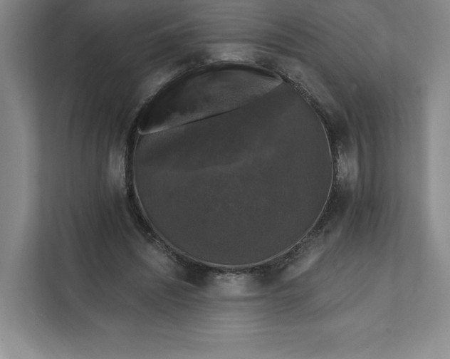 X0000111580444200907301409