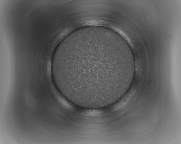 X0000111580445200907301409