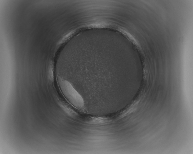 X0000111580446200907301409