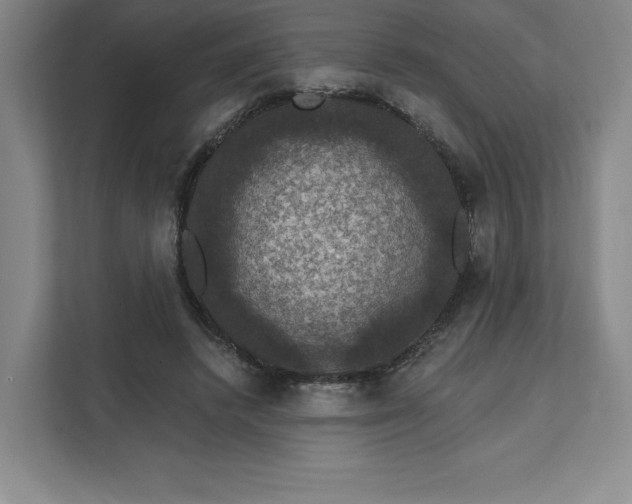 X0000111580448200907301409