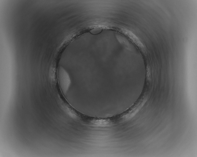 X0000111580449200907301409