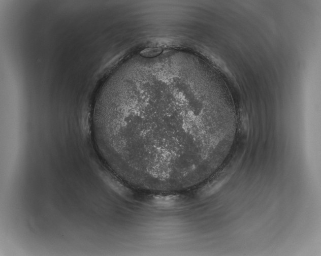 X0000111580450200907301409