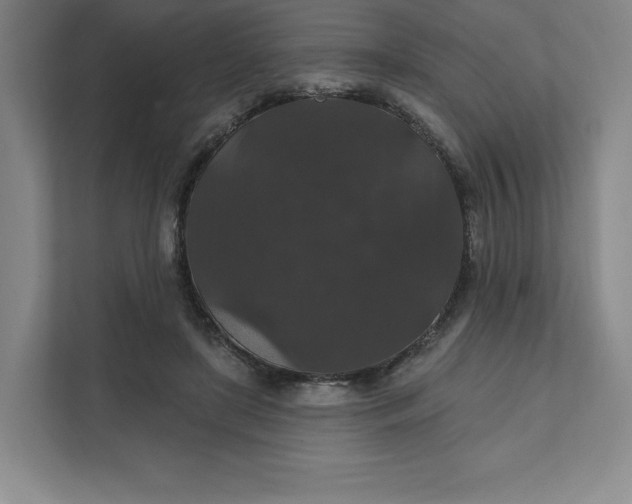 X0000111580451200907301409