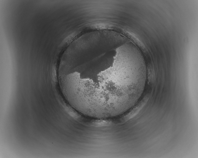 X0000111580453200907301409