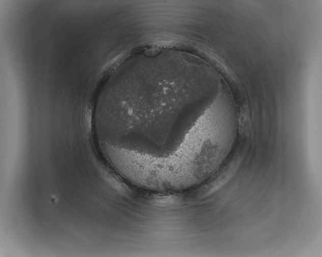 X0000111580454200907301409