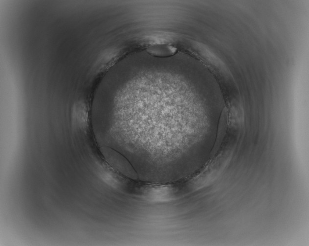 X0000111580456200907301409