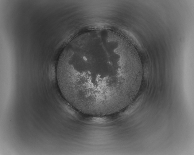 X0000111580457200907301409