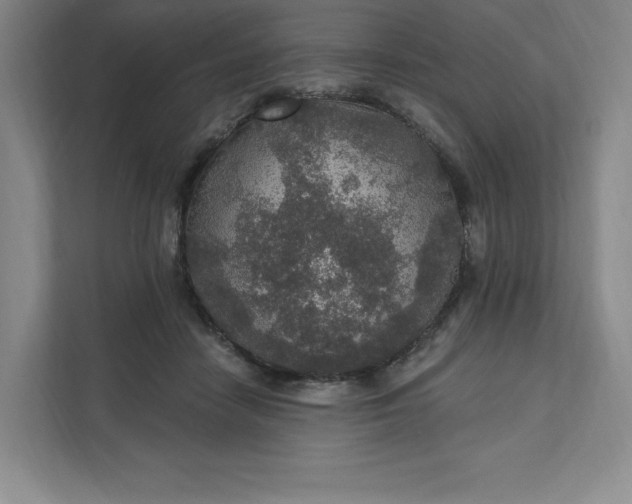 X0000111580458200907301409