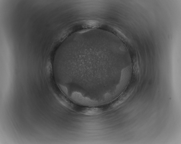 X0000111580459200907301409