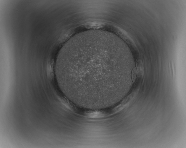 X0000111580460200907301409