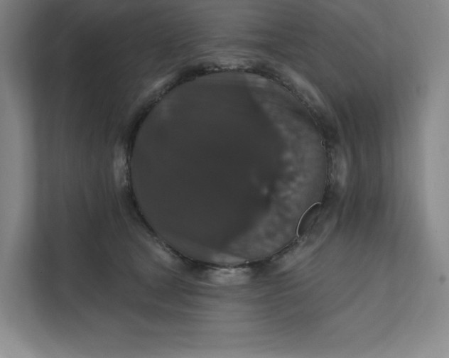 X0000111580465200907301409