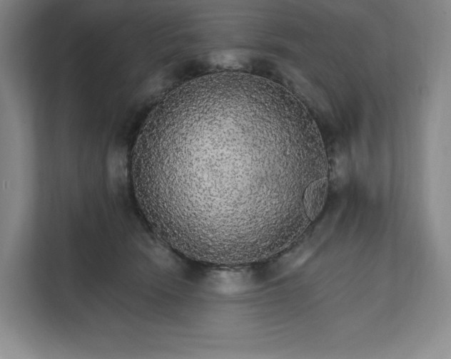 X0000111580466200907301409