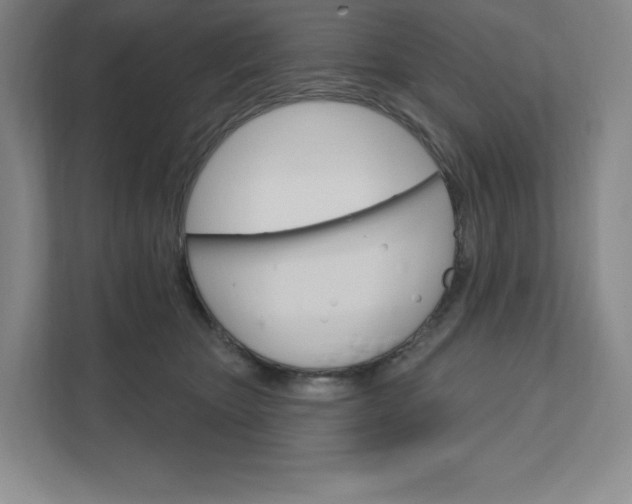 X0000111580467200907301409