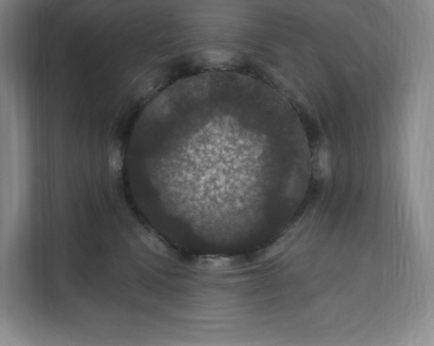 X0000111580472200907301409