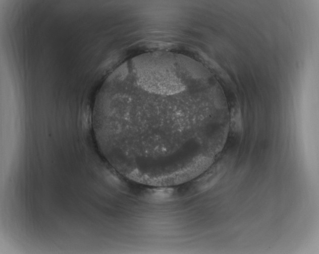 X0000111580474200907301409