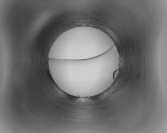 X0000111580477200907301409