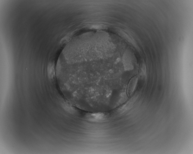 X0000111580478200907301409