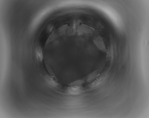 X0000111580479200907301409