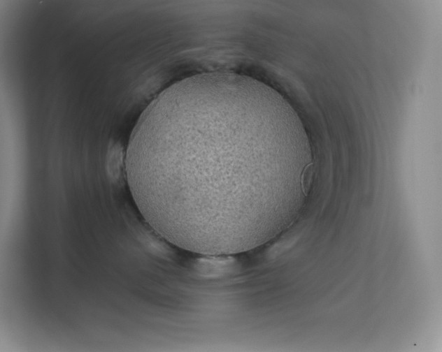 X0000111580480200907301409