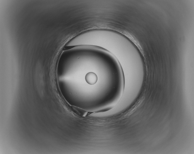 X0000111580481200907301408